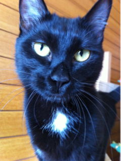 image-20110504140053.png