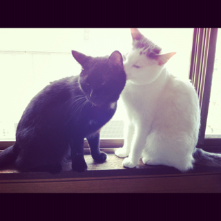 image-20120510202251.png